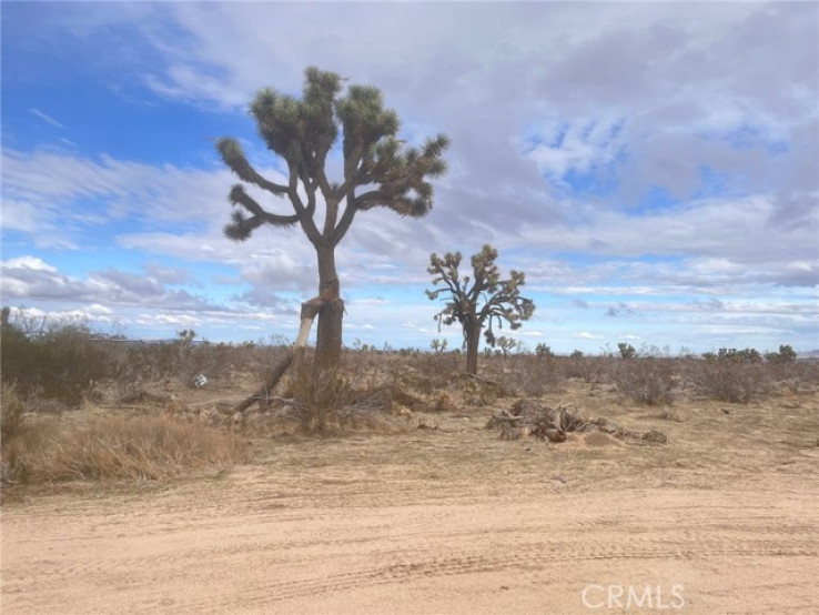  Land for Sale in Phelan, California