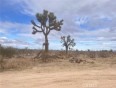  Land for Sale in Phelan, California