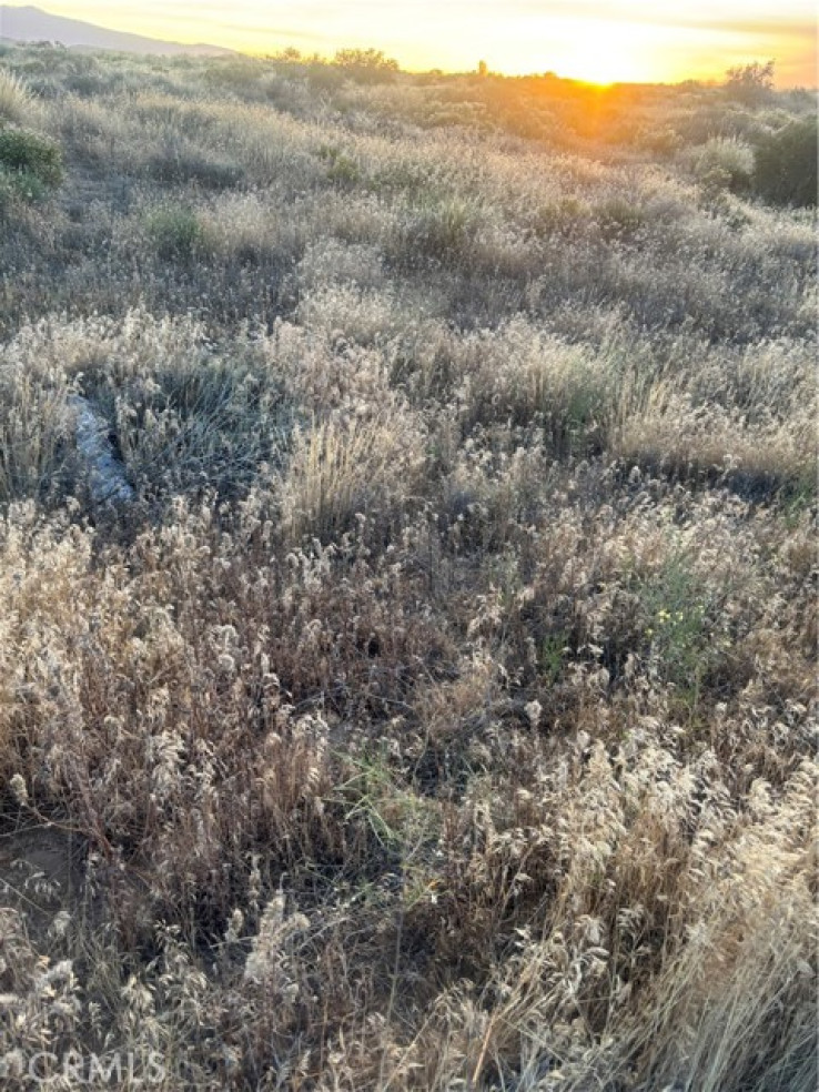  Land for Sale in Adelanto, California