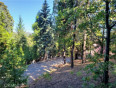  Land for Sale in Lake Arrowhead, California