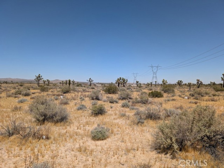  Land for Sale in Adelanto, California