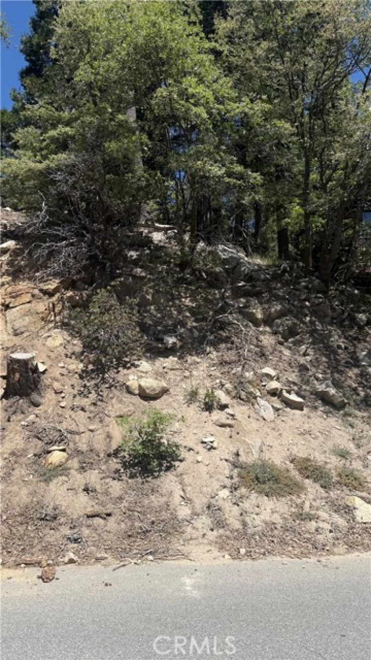  Land for Sale in Lake Arrowhead, California