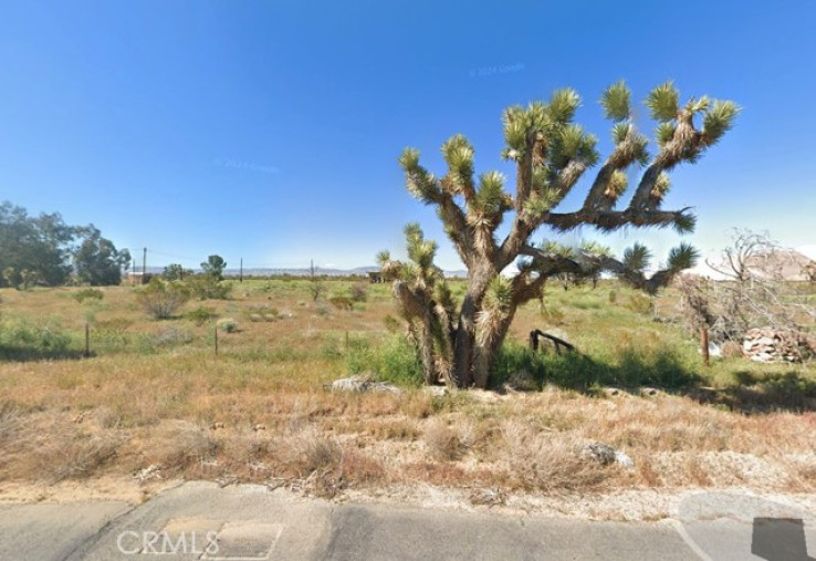 Land for Sale in Mojave, California