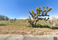  Land for Sale in Mojave, California