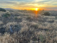  Land for Sale in Phelan, California