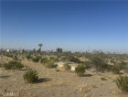  Land for Sale in Phelan, California