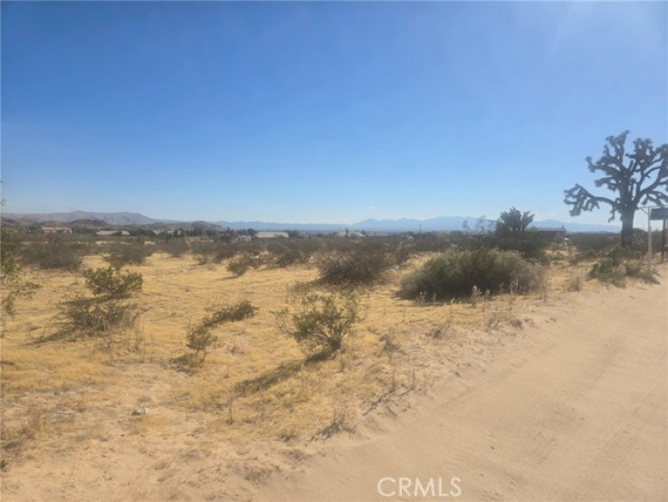  Land for Sale in Apple Valley, California