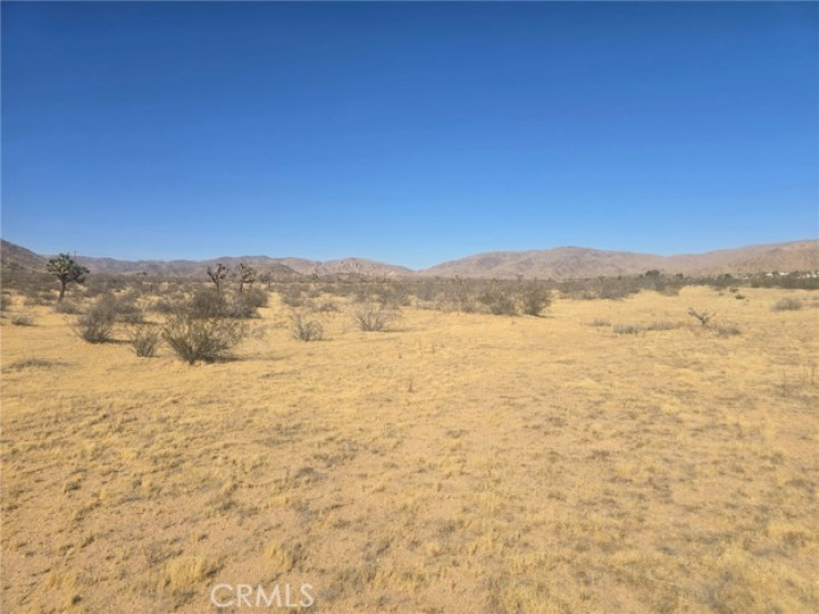  Land for Sale in Apple Valley, California