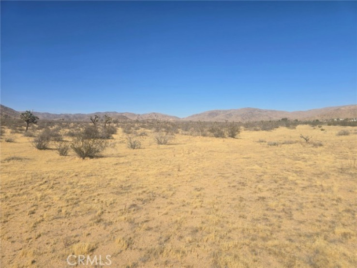  Land for Sale in Apple Valley, California