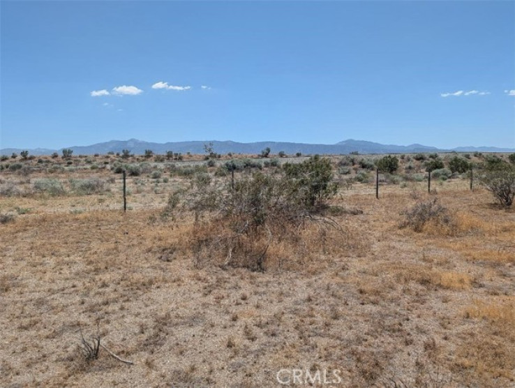 Land in Pinon Hills
