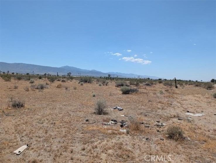  Land for Sale in Pinon Hills, California