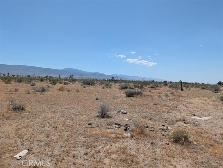  Land for Sale in Pinon Hills, California