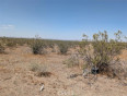  Land for Sale in Pinon Hills, California