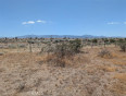  Land for Sale in Pinon Hills, California