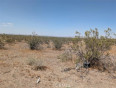  Land for Sale in Pinon Hills, California