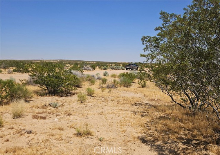  Land for Sale in California City, California