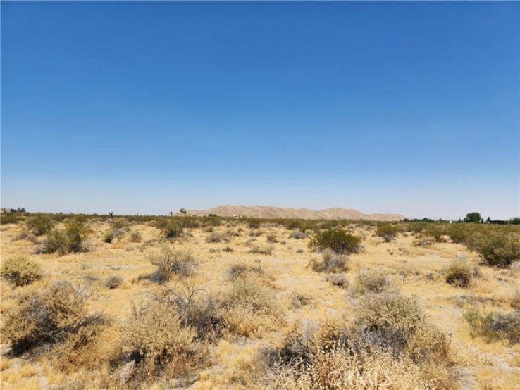  Land for Sale in El Mirage, California