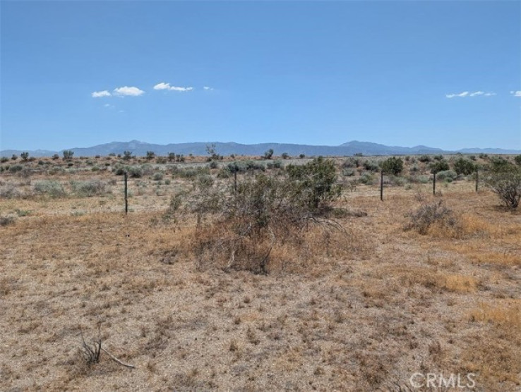  Land for Sale in Llano, California