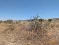  Land for Sale in Llano, California