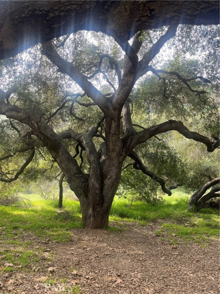  Land for Sale in Val Verde, California