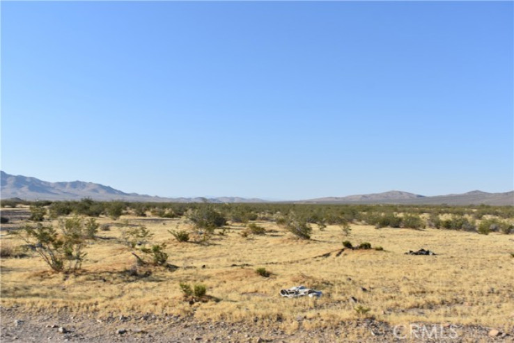  Land for Sale in Helendale, California