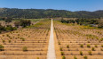  Land for Sale in Ojai, California