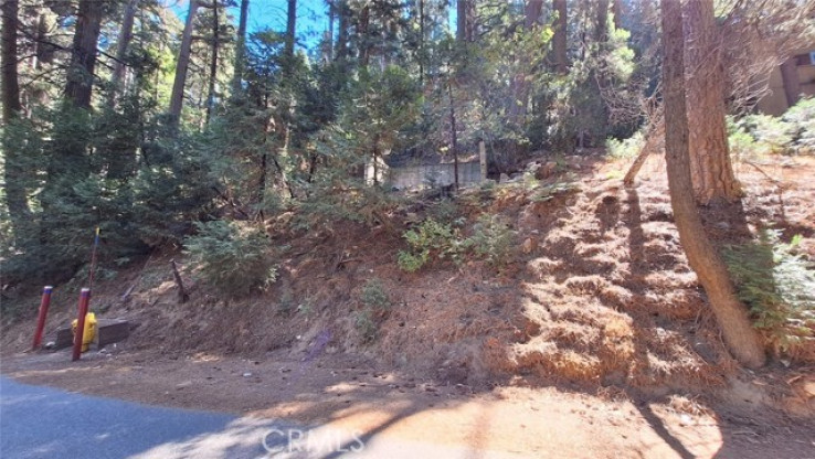  Land for Sale in Lake Arrowhead, California