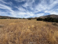  Land for Sale in Acton, California