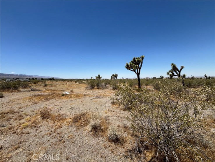 Land in Pinon Hills