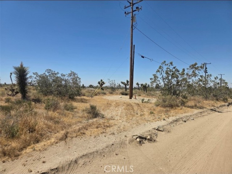  Land for Sale in Pinon Hills, California