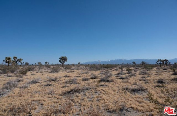  Land for Sale in Adelanto, California