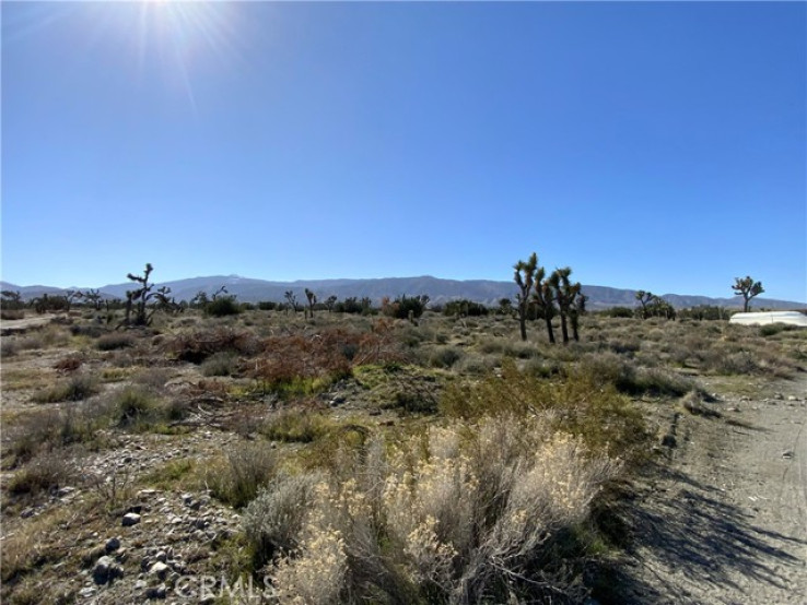  Land for Sale in Sun Valley, California