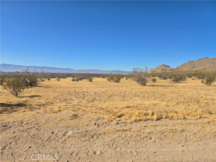 Land in Apple Valley