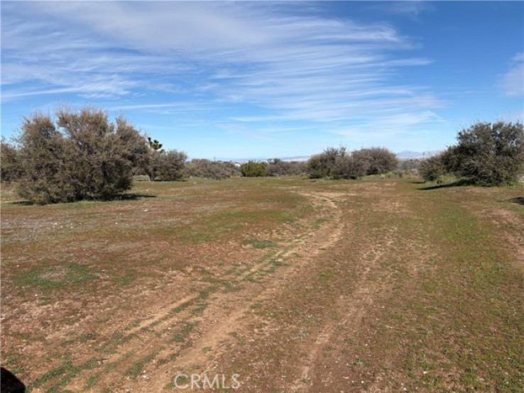  Land for Sale in Phelan, California