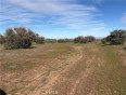  Land for Sale in Phelan, California