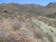  Land for Sale in Acton, California