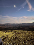  Land for Sale in Acton, California
