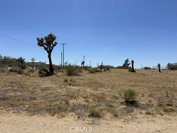  Land for Sale in Phelan, California