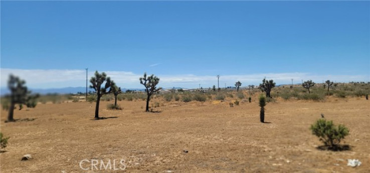  Land for Sale in Phelan, California