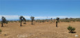  Land for Sale in Phelan, California