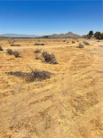  Land for Sale in Apple Valley, California