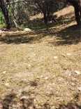  Land for Sale in Tujunga, California