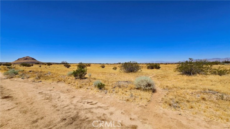 Land for Sale in California City, California