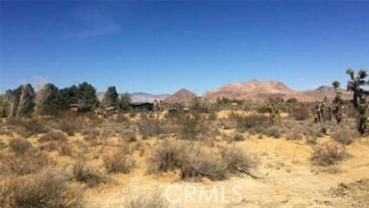  Land for Sale in Mojave, California