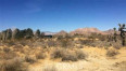  Land for Sale in Mojave, California