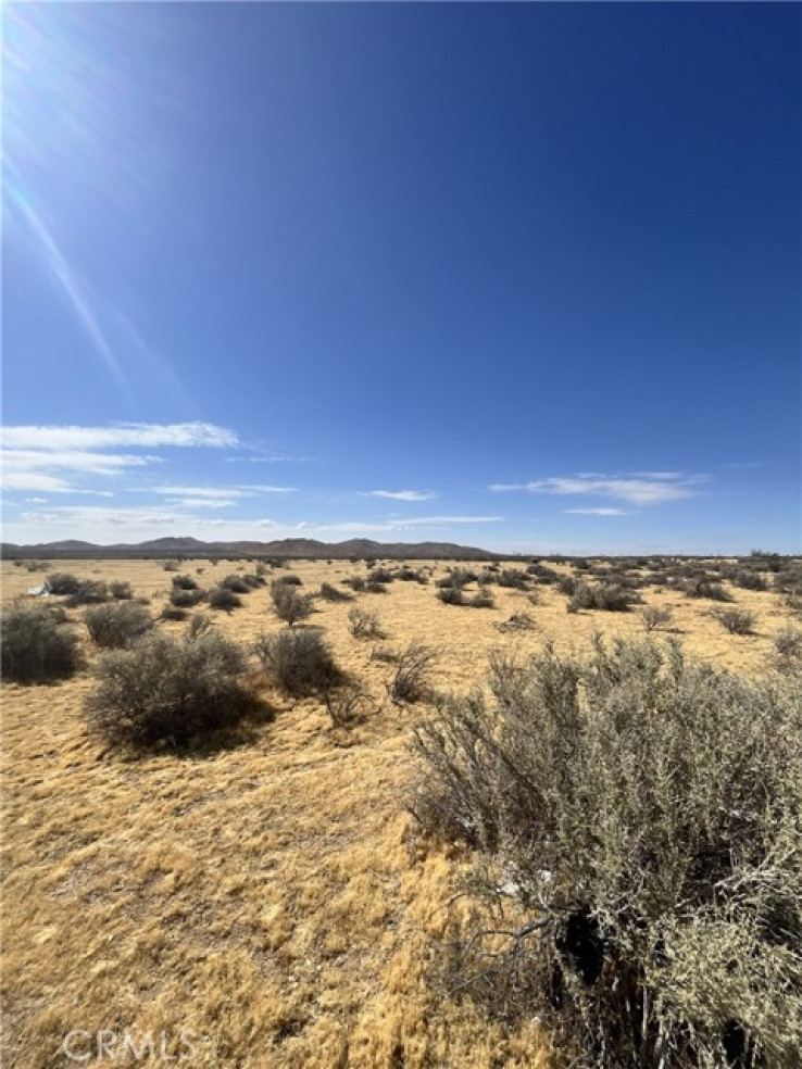  Land for Sale in Apple Valley, California