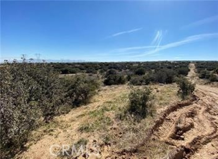  Land for Sale in Phelan, California