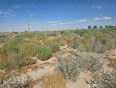  Land for Sale in Black Butte, California