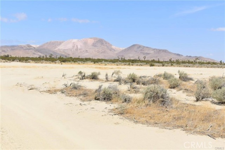  Land for Sale in Mojave, California