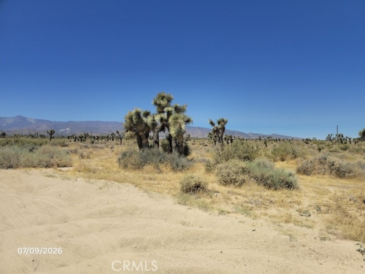  Land for Sale in Phelan, California